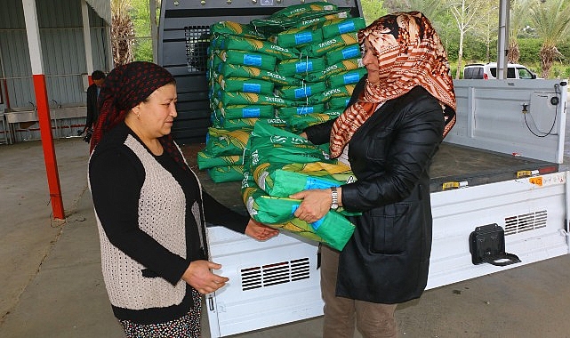Büyükşehir Belediyesi’nden silajlık mısır tohumu desteği
